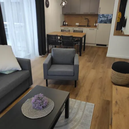 Apartment Apartament 9 Szklarski Szklarska Poreba